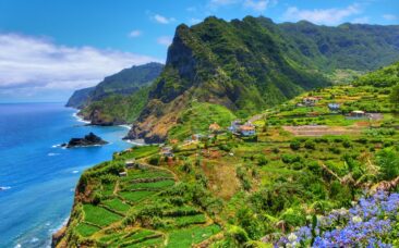 Madeira for Digital Nomads