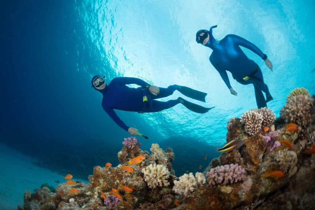 Free dive Nusa Penida