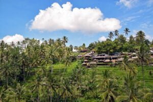 Hackers Paradise Retreat Ubud
