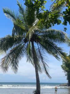 Profile photo of JUANJOSE