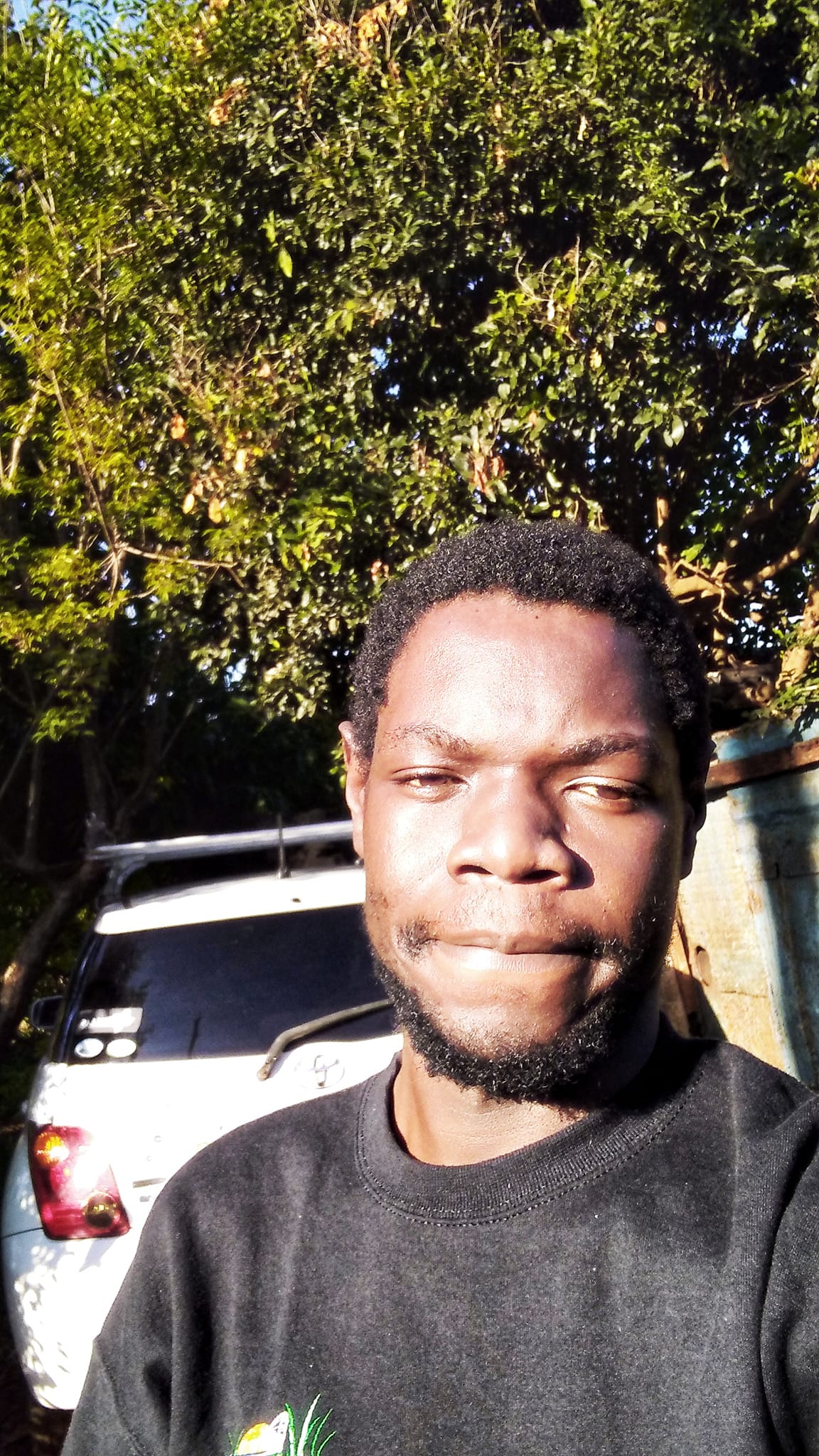 Profile photo of Mordecai