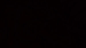 Profile photo of janine