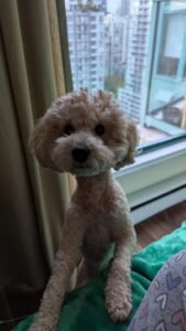 Profile photo of Johnathan