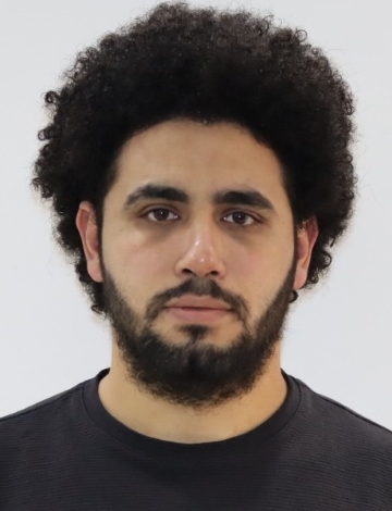 Ibrahim-Sabry