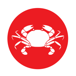 Profile photo of Cha cua