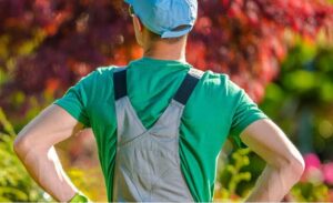 Profile photo of sweet