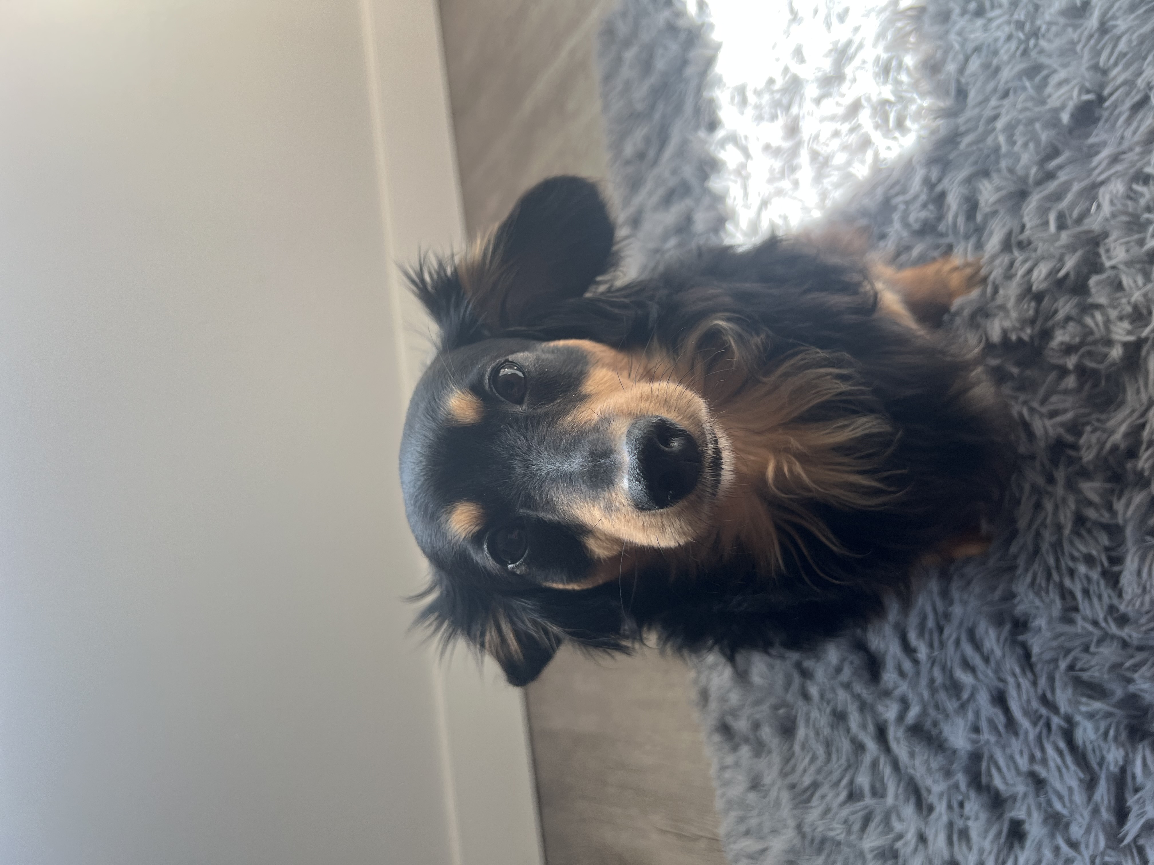 Profile photo of Mary