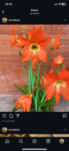 Profile photo of Mayuri