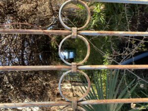 Profile photo of Claire