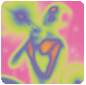 Profile photo of zz