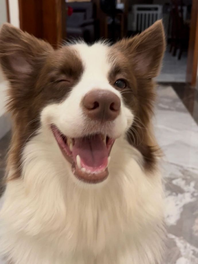 Profile photo of Simone