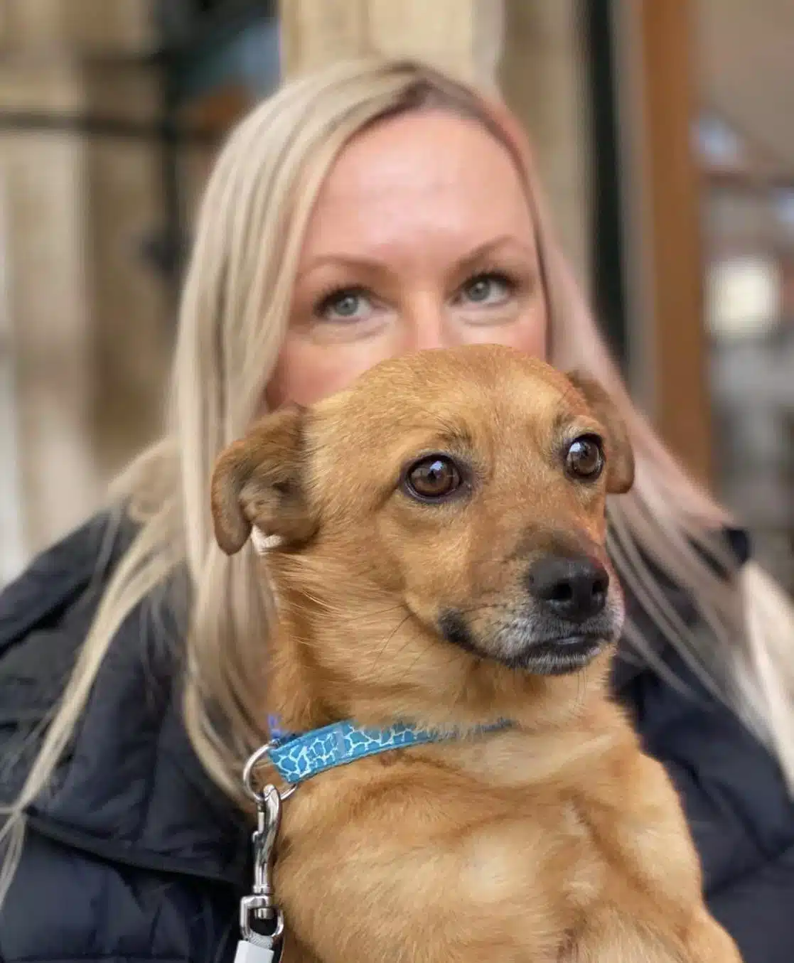 Profile photo of Andrea Woods