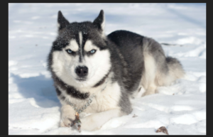 Profile photo of Margarita